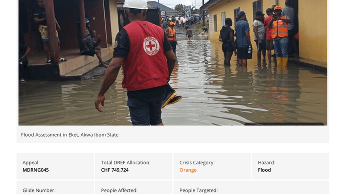 Najiyada Dabagalka Nigeria: Qarsoodi iyo Caawinaad Ugu Yaraan 73,000 Qof