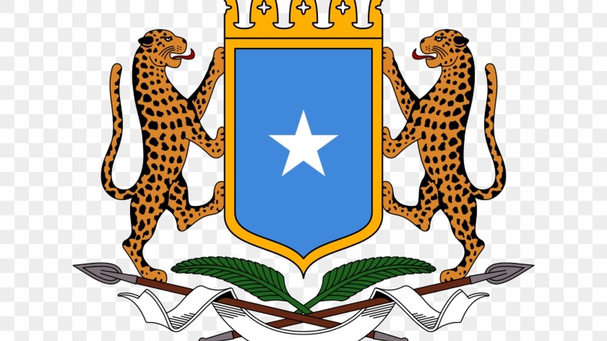 Soomaaliya oo si adag u cambaareysay weerarkii argagixisanimo ee ka dhacay Karak, Jordan