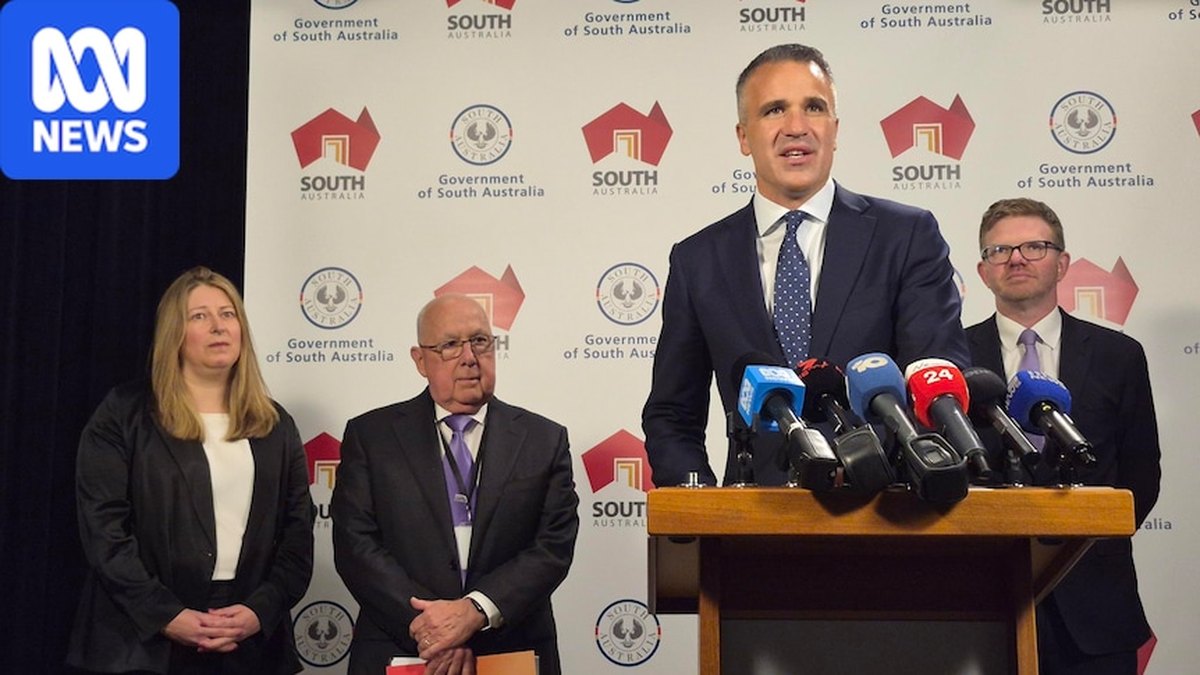 Saddex Mas'uul Oo Sare La Magacaabay Inay Hogaamiyaan Baaritaanka Dowladda South Australia ee AI-ga