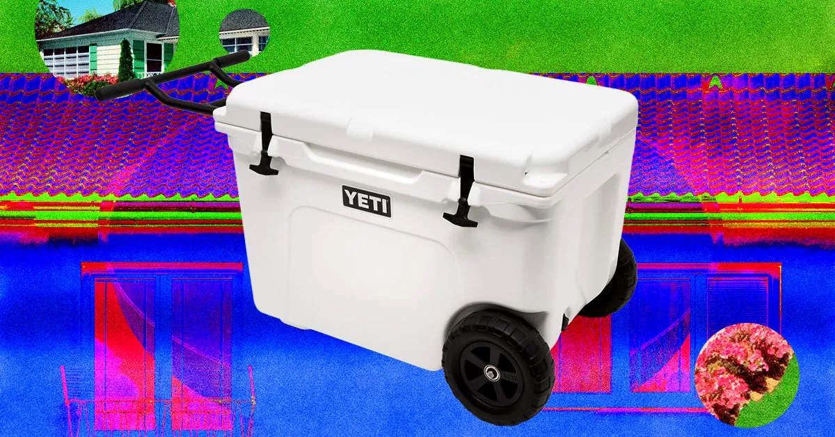 13 Best Coolers for Sunshine and Nighttime (2026)