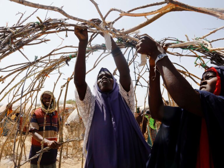 Aid agencies back UN’s $7bn appeal for Horn of Africa food crisis