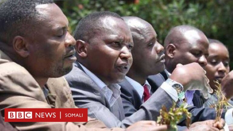 Beeraleyda qaadka Kenya oo  shirka maalgashiga Soomaaliya ka sheegay inay rabaan kalluunka dalka
