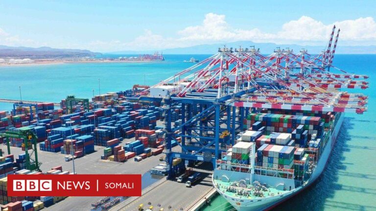 Jabuuti oo kaalin hoose ka soo gashay qiimeynta dekadaha ee Bangiga Adduunka iyo dowladda oo ka carootay