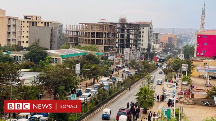 Maxay tahay sababta magaalada Jigjiga loo baadhayo dadka shaqaalaha ah?