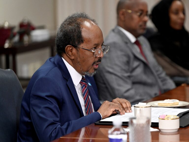 Somali president’s son flees Turkey after fatal Istanbul accident: Reports