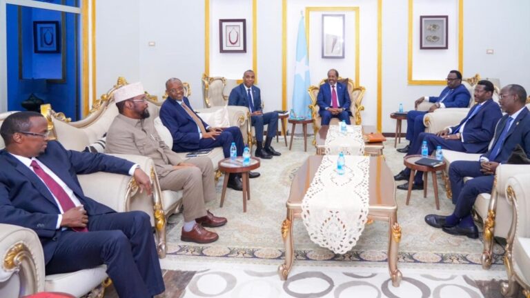 Aragtida dadweynaha ee shirka Madasha Wadatashiga Qaran