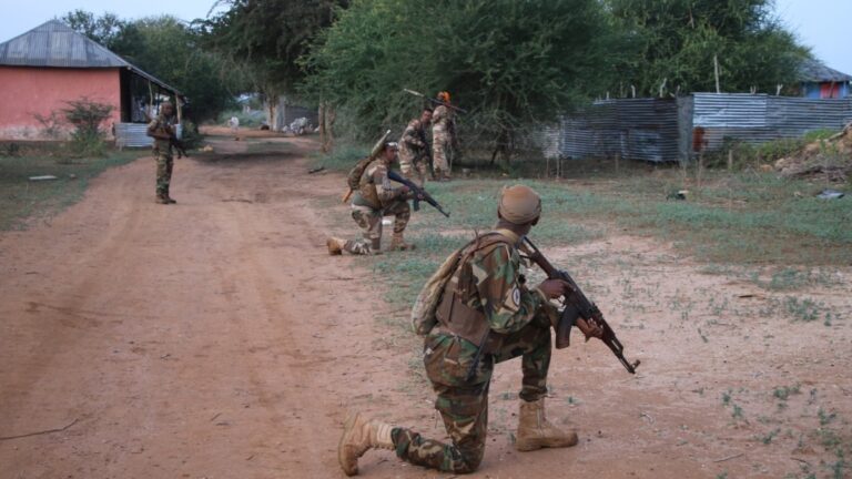 Ciidamada Dowladda oo deegaano ka qabsaday Al-Shabaab