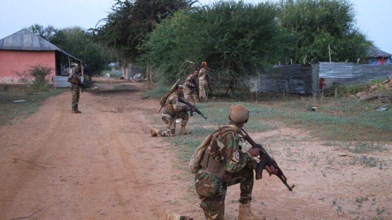 Ileyska VOA: Dowladda Federaalka oo duulaan cusub ku qaadaysa Al-Shabaab