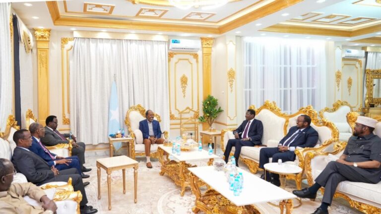 Martida Makarafoonka: Dowlad Goboleedyada iyo doorashooyinka