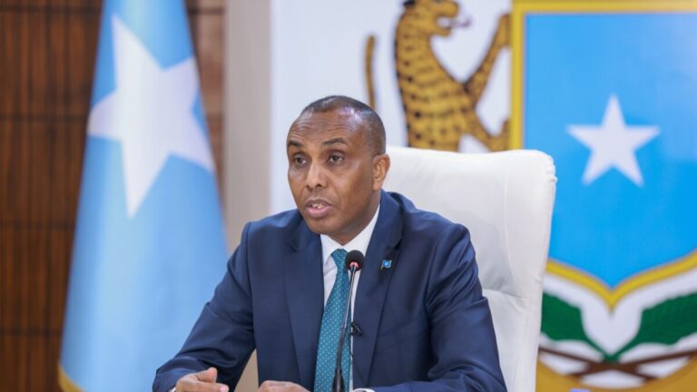 Ra’isil-wsaare Xamza oo dhiirgeliyay maalgashiga dalka