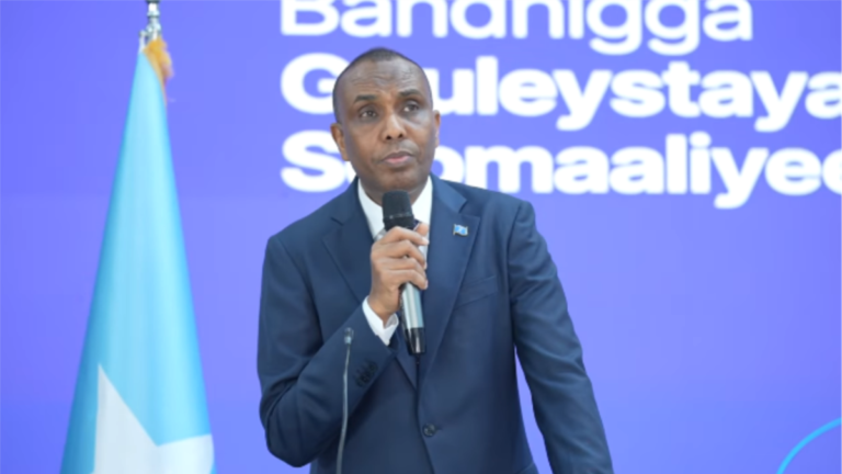 Maxaa u qabsoomay RW Xamse muddadii labada sano ahayd ee uu xafiiska joogay?