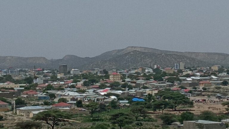 Roob dabeylo watay oo dad ku dilay Borama