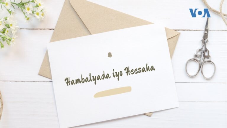 Barnaamijka Hambalyada iyo Heesaha