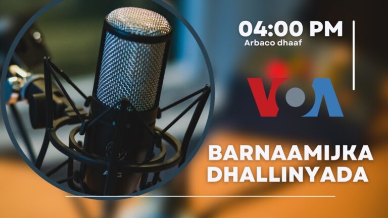 Barnaamijka Dhallinyarada: Dhallinyarada iyo siyaasadda
