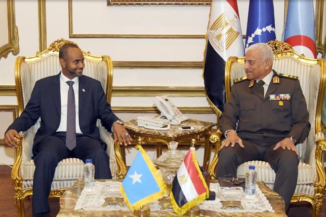 Egypt defence minister discusses regional developments with Somali counterpart