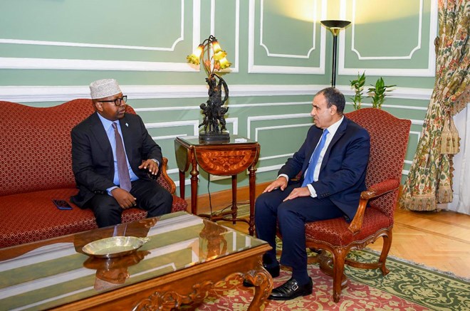 Somalia, Egypt commit to strengthening bilateral ties and regional security