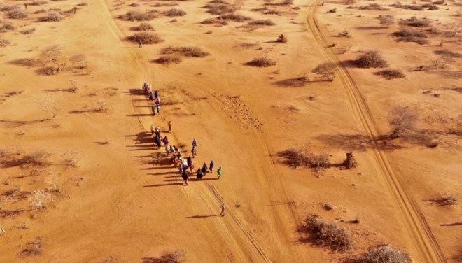 Drought led to 71,000 ‘excess deaths’ in Somalia, report shows