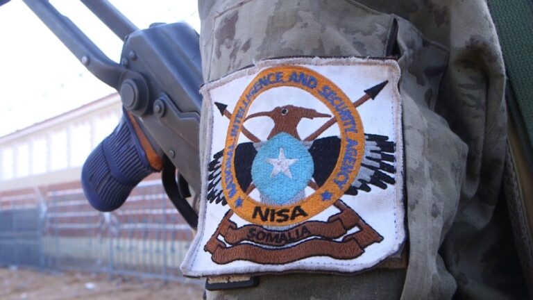 NISA oo sheegtay in 19 Shabaab ah lagu dilay howlgal