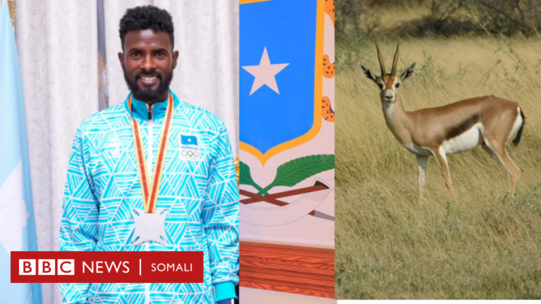 Cabdullaahi Jaamac: Wax ka ogow nolosha wiilka awoowihii orodka ku qaban jiray ugaarta ee hadda billadda u keenay Soomaaliya