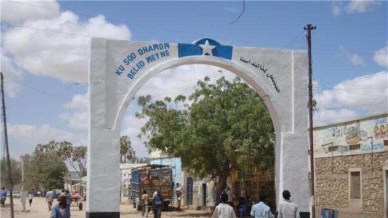 Beledweyne oo laga mamnuucay hubka noocyadiisa kala duwan