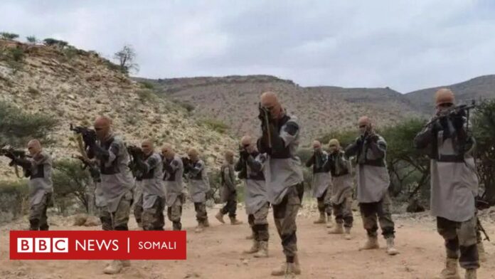Dhegeyso: Puntland oo fahfaahin ka bixisay howlgallo dhowaan laga fuliyay deegaanno ay joogaan Daacish