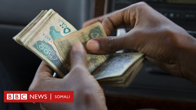 Miisaaniyadda Somaliland 2024 iyo Waxyaabaha lacagta ugu badan loo qoondeeyay