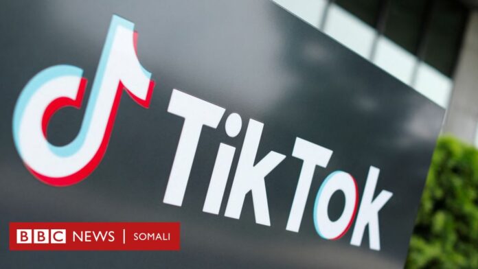 TikTok ma waxa uu ku socdaa in uu noqdo shaqo xirfad ahaan la sheegan karo mustaqbalka