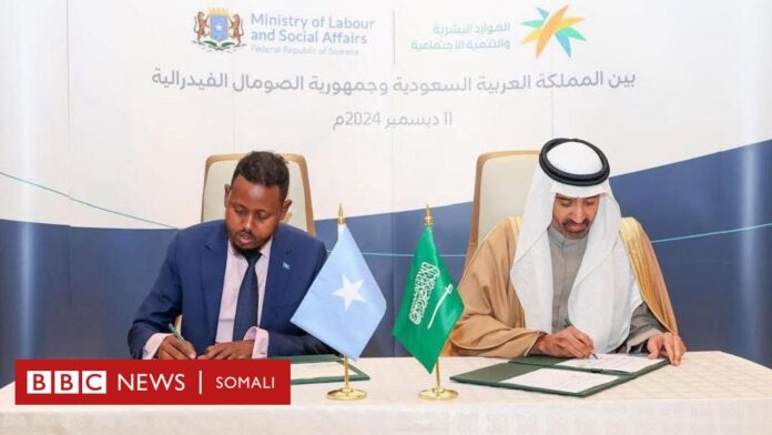 Tirada Shaqaalaha Soomaalida ah ee loo dirayo Sacuudiga bisha dambe iyo shaqada ay qabanayaan 