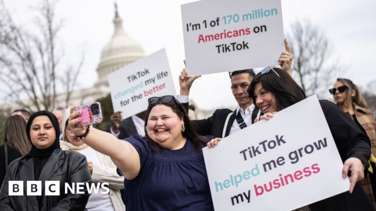 US TikTok ban: When could the app be banned and will Trump save it?