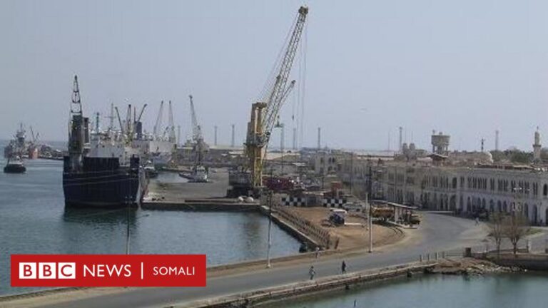 Waa kuwee dekadaha ku yaala badda cas ee Itoobiya u hanqal taageyso inay la wareegto?