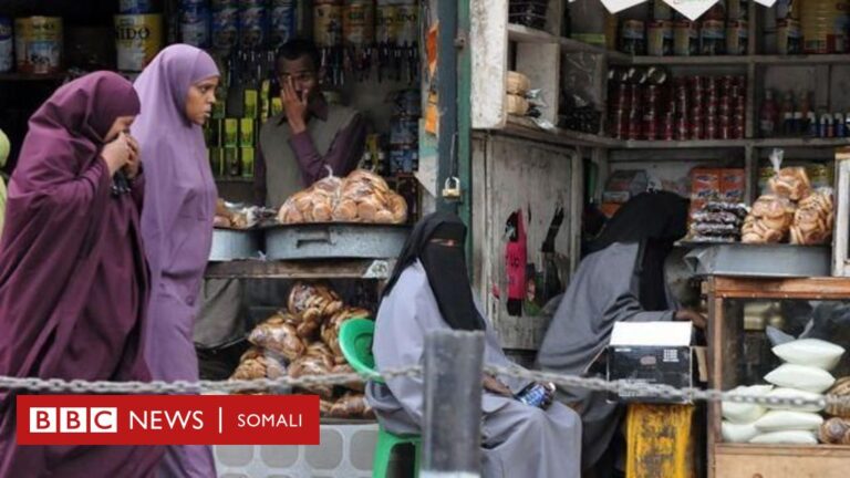 ‘Waxaa lagu hayaa Islii weeraro qaawan, waxayna askartu ka qaateen goobaha ganacsiga dhowr milyan’