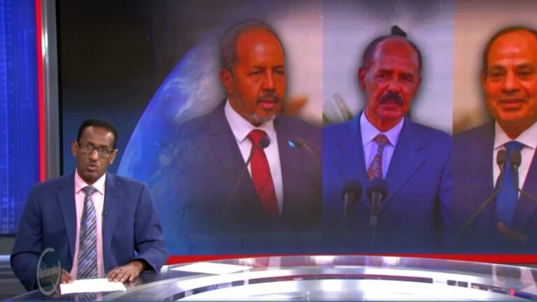 Madaxda Soomaaliya, Eritrea iyo Masar oo ku kulansan Asmara

Madaxweynayaasha Soomaaliya, Eritrea iyo Masar ayaa maanta kullan sadex geesood ah ku leh magaalada Asmara ee xarunta Dalka Eritrea. Saddexdan madaxweyne ayaa u muuqda ku sameysanaya xulufo ku aadan xaaladda Geeska Afrika.