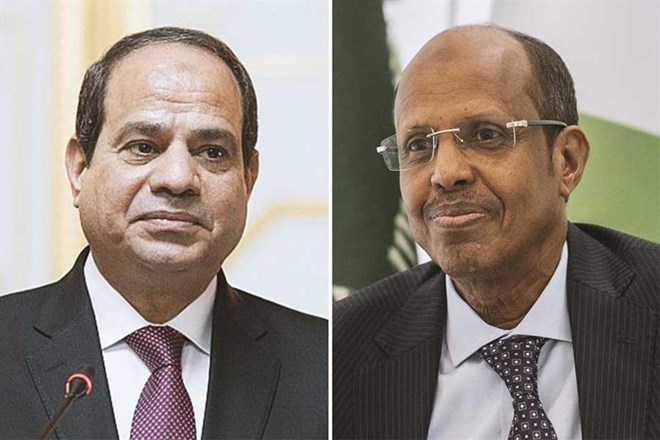Egypt, Djibouti discuss Somalia developments, efforts to restore stability in Horn of Africa