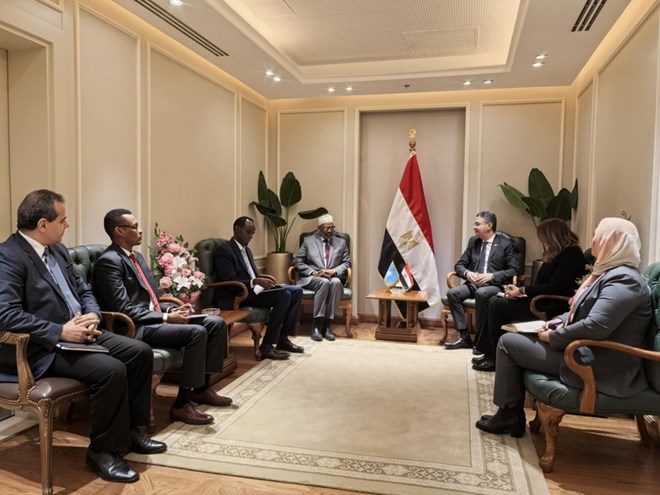 Egyptian, Somali Ministers explore agricultural partnership