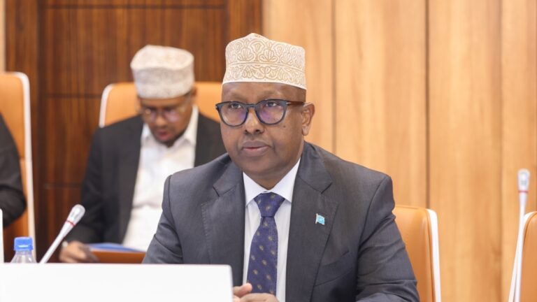 Wareysi: Wasiirka Arrimaha Dibadda Somalia