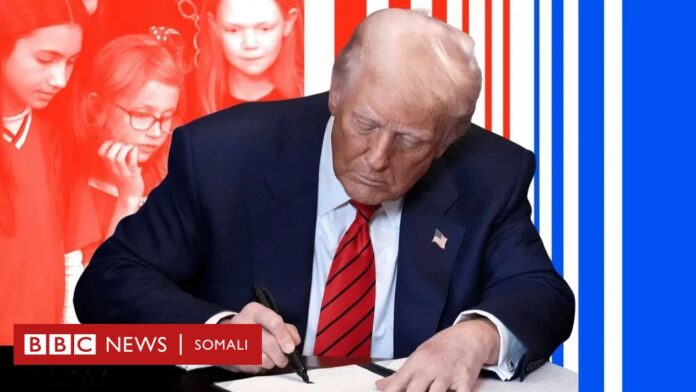 Duqeynta Daacishta Soomaaliya iyo dhowr iyo toban waxyaabood oo Trump iyo kooxdiisu ay sameeyeen toddobaadkan