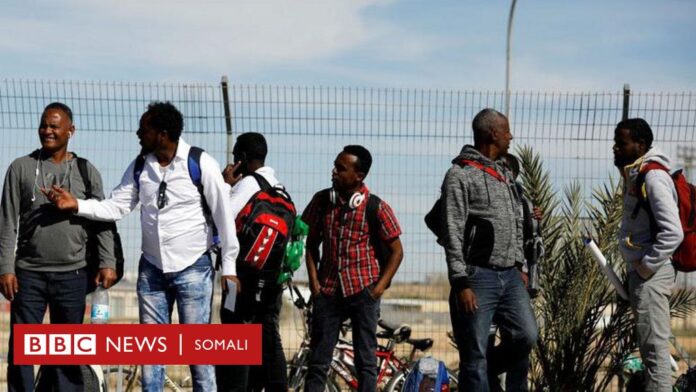'Iska jir, ma ahan Yurub': BBC oo la hadashay Boqolaal Soomaali ah oo loo sheegay in Yurub la geeyay laakiin lagu daadiyay jasiirad Afrika ku taal