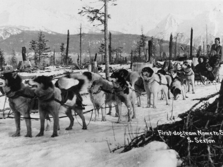 The Alaskan hero dogs who prevented a diphtheria epidemic in 1925