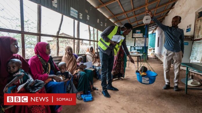 Waa hay'ad noocee ah USAID, maxayse Soomaaliya uga dhigan tahay in Trump uu xiro?