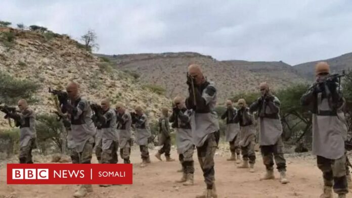 Waa kuma Abu Xafs Al-Hashimi Al-Qurashi, hogaamiyaha kooxda Daacish ee loo malaynayo inuu Soomaali yahay?