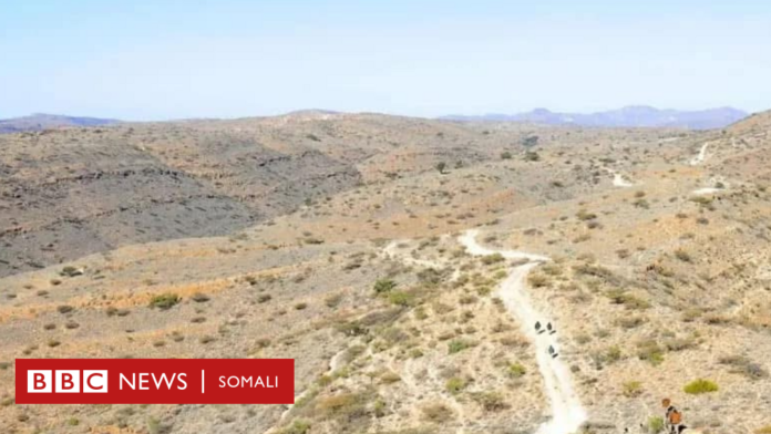 War cusub oo kasoo kordhay duqeyntii Mareykanku dhowaan la beegsaday Daacishta Soomaaliya