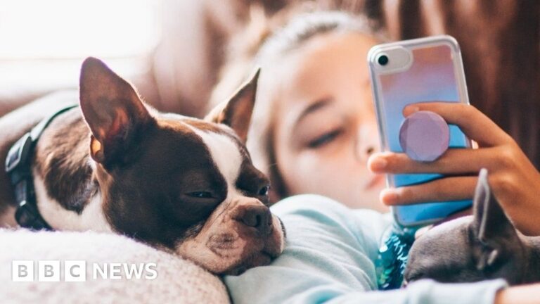 What the Online Safety Act is – and how to keep children safe online