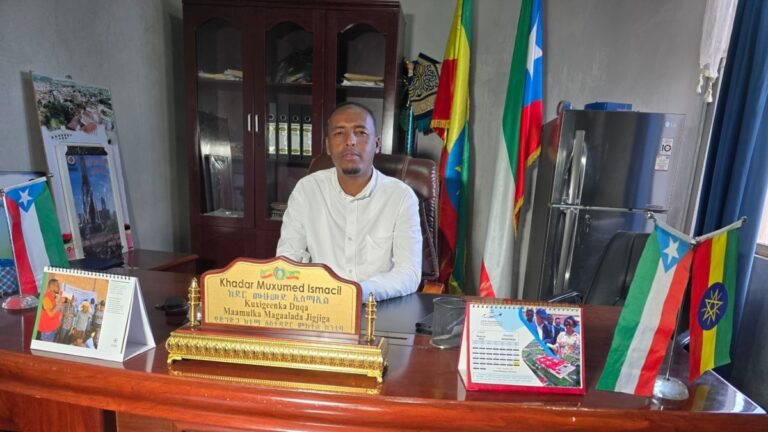 Jigjiga: Jaariyooyinka oo lagu amray in la baaro ka hor shaqaaleysiinta