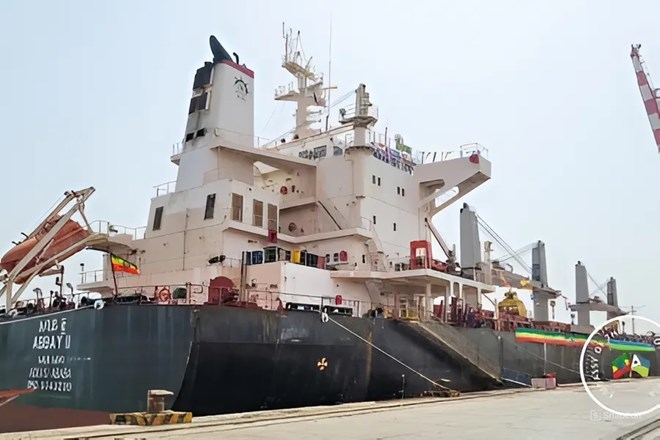 Ethiopia plans to buy 6 cargo ships to expand trade fleet