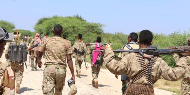 NISA forces kill 16 Al-Shabaab militants in Lower Shabelle raid