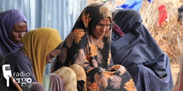Puntland war against Daesh displaces frankincense farmers in Bari region