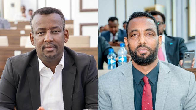 Somali lawmaker accuses federal government of diverting army funds to clan militias