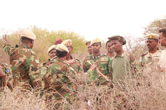 Somali army launches large-scale offensive against Al-Shabaab in Middle Shabelle region