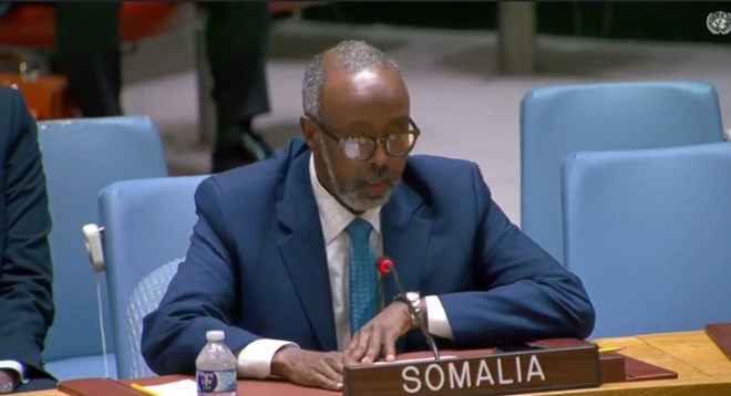 Somalia urges UN probe into Israeli strikes, supports Gaza ceasefire talks