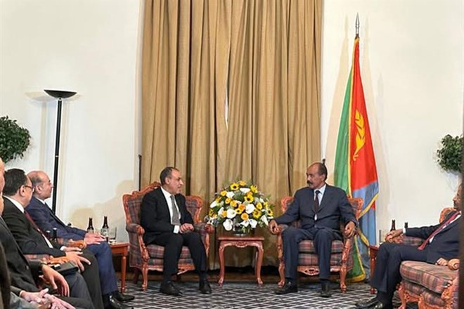 Egypt, Eritrea reiterate rejection of non-littoral nation’s involvement in Red Sea security, governance